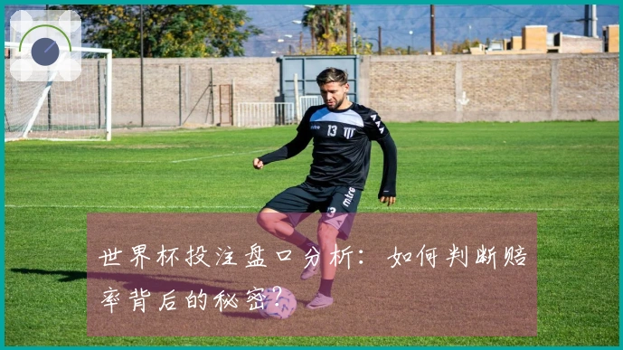 世界杯投注盘口分析：如何判断赔率背后的秘密？