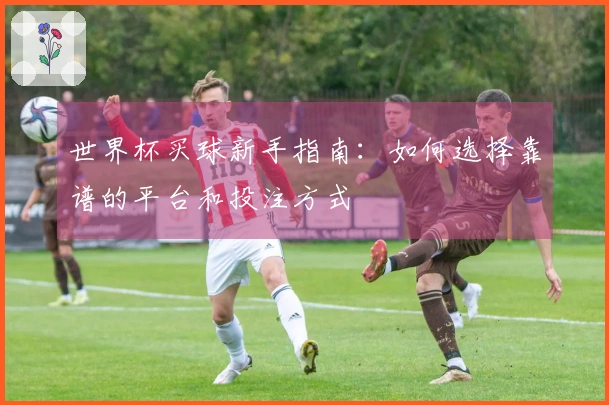 世界杯买球新手指南：如何选择靠谱的平台和投注方式