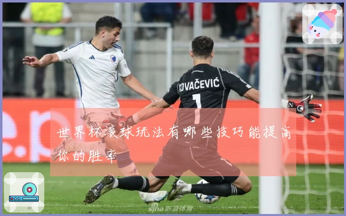 世界杯滚球玩法有哪些技巧能提高你的胜率