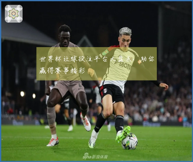 世界杯让球投注平台大盘点，助你赢得赛事精彩