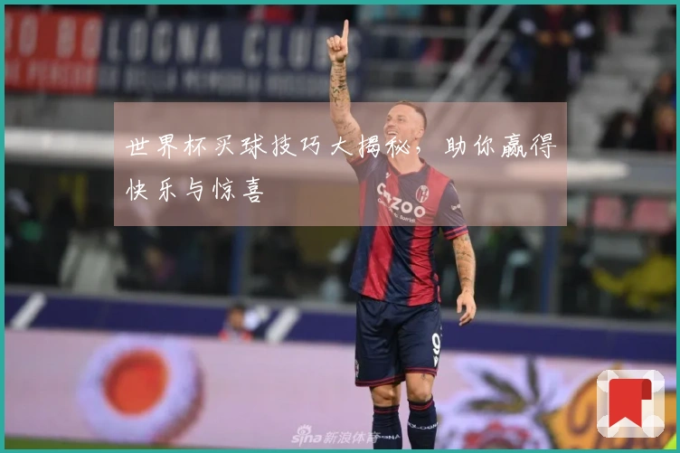 世界杯买球技巧大揭秘，助你赢得快乐与惊喜