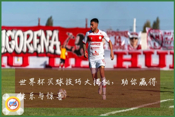 世界杯买球技巧大揭秘，助你赢得快乐与惊喜
