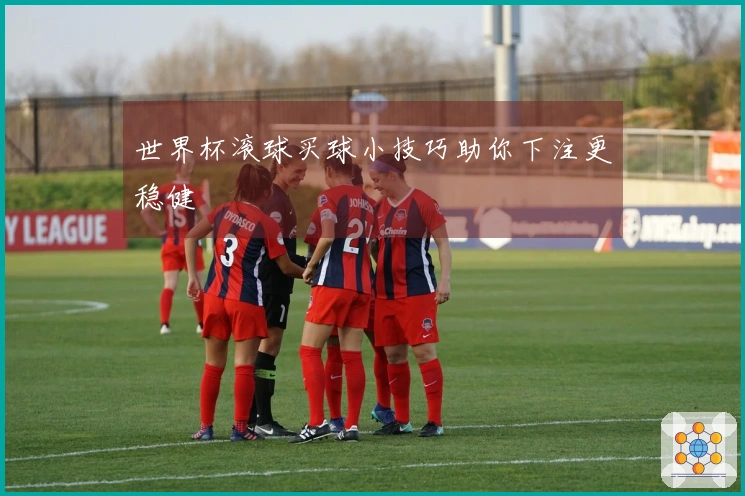 世界杯滚球买球小技巧助你下注更稳健