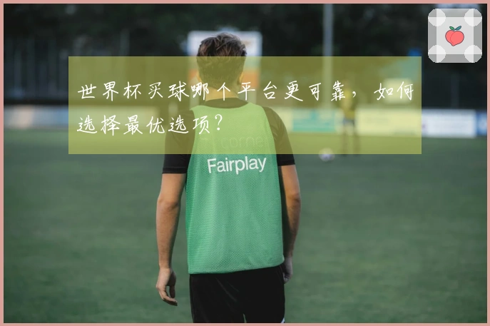 世界杯买球哪个平台更可靠，如何选择最优选项？