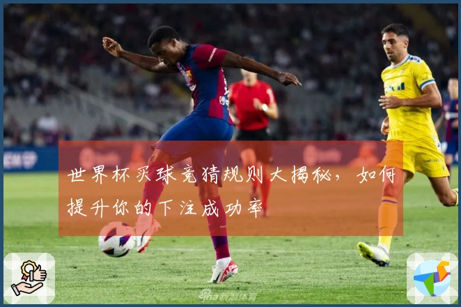 世界杯买球竞猜规则大揭秘，如何提升你的下注成功率