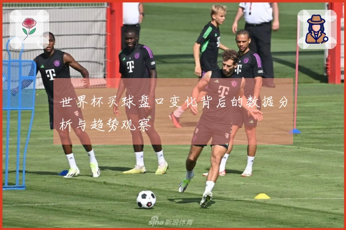 世界杯买球盘口变化背后的数据分析与趋势观察