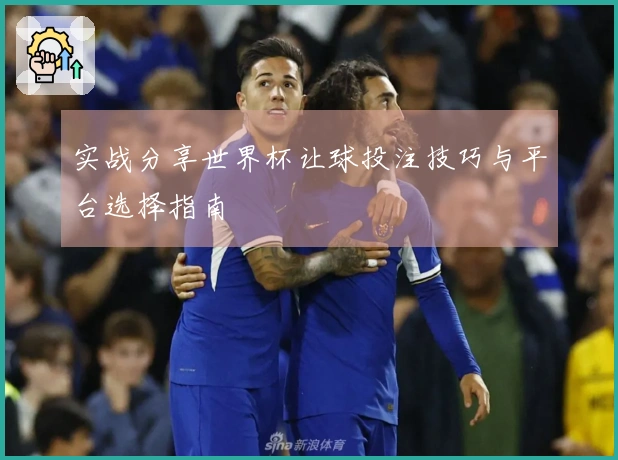 实战分享世界杯让球投注技巧与平台选择指南