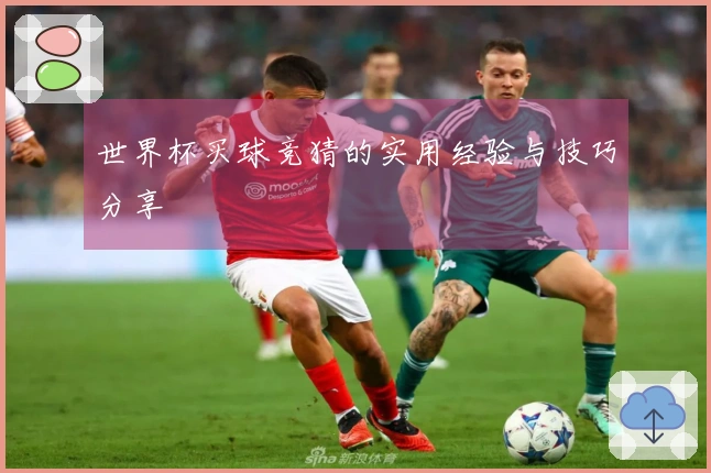 世界杯买球竞猜的实用经验与技巧分享